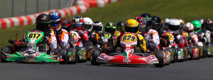 Briggs and Stratton Racing