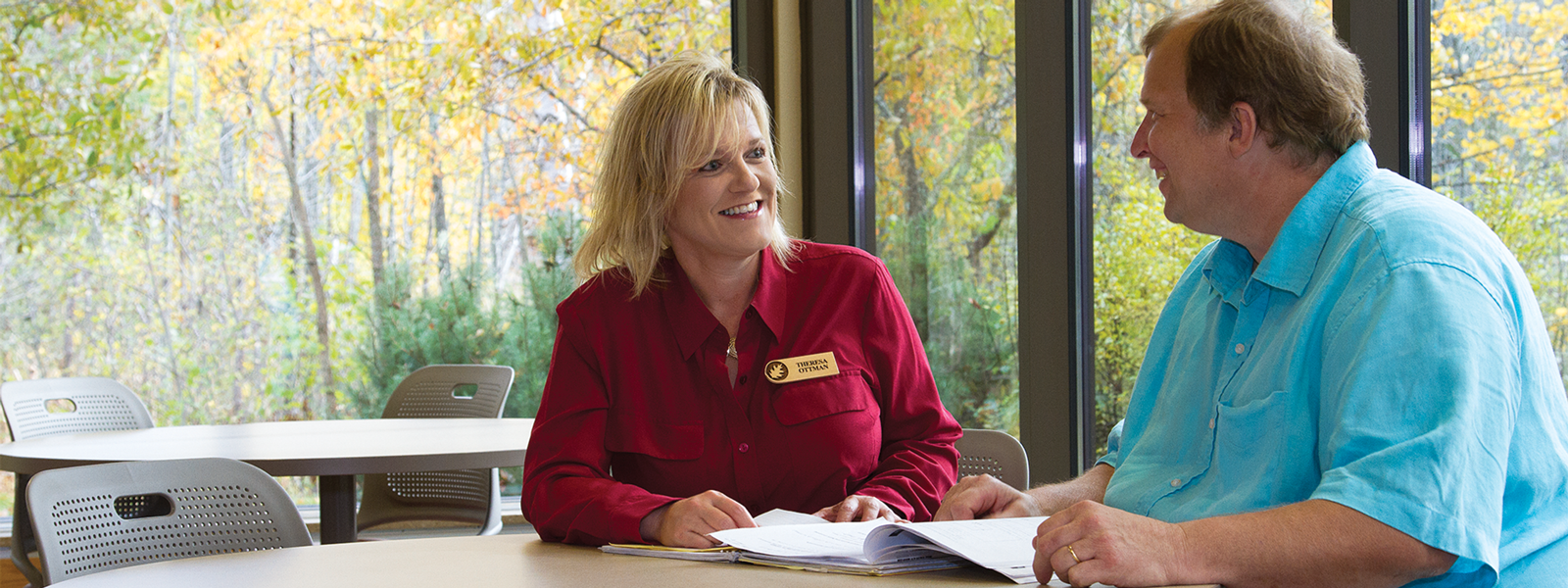 Nicolet College Online Strategy