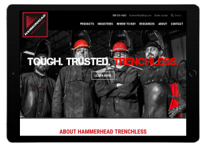 HammerHead Trenchless Homepage iPad