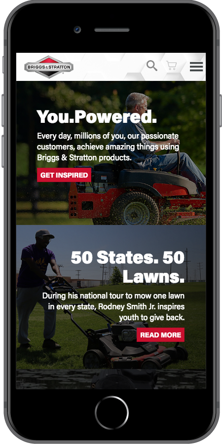 Briggs and Stratton You Powered Mobile2